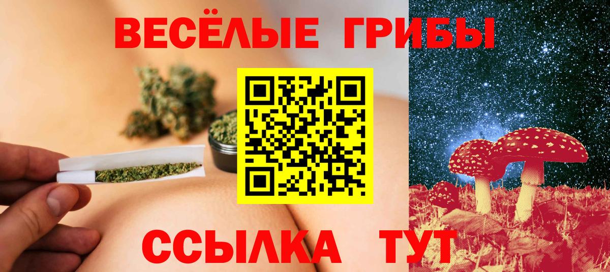 купить закладку  Вход с VPN  Уварово  Галлюциногенные грибы GOLDEN TEACHER 