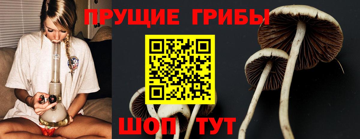 Псилоцибиновые грибы ЛСД Уварово